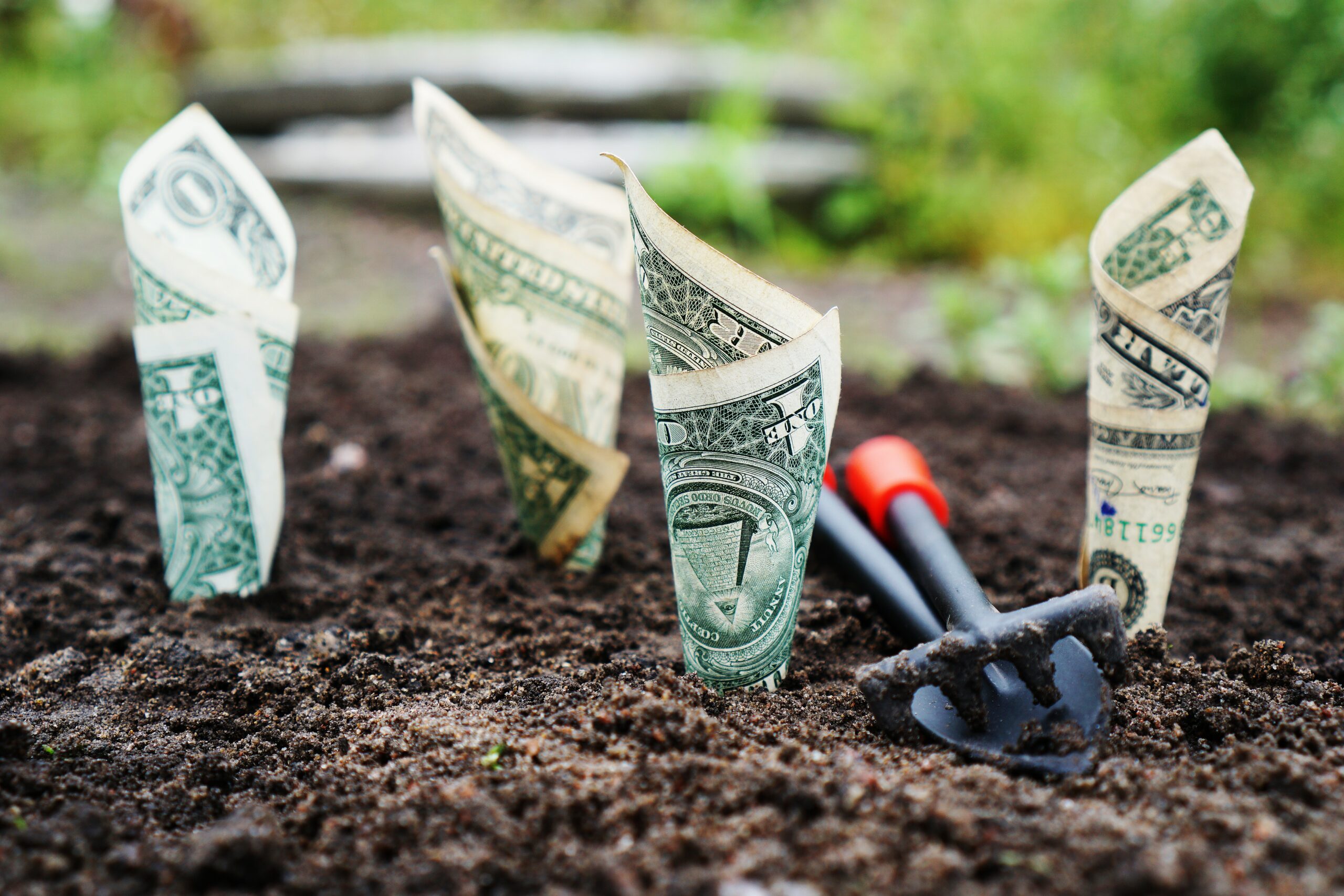 Money growing scaled