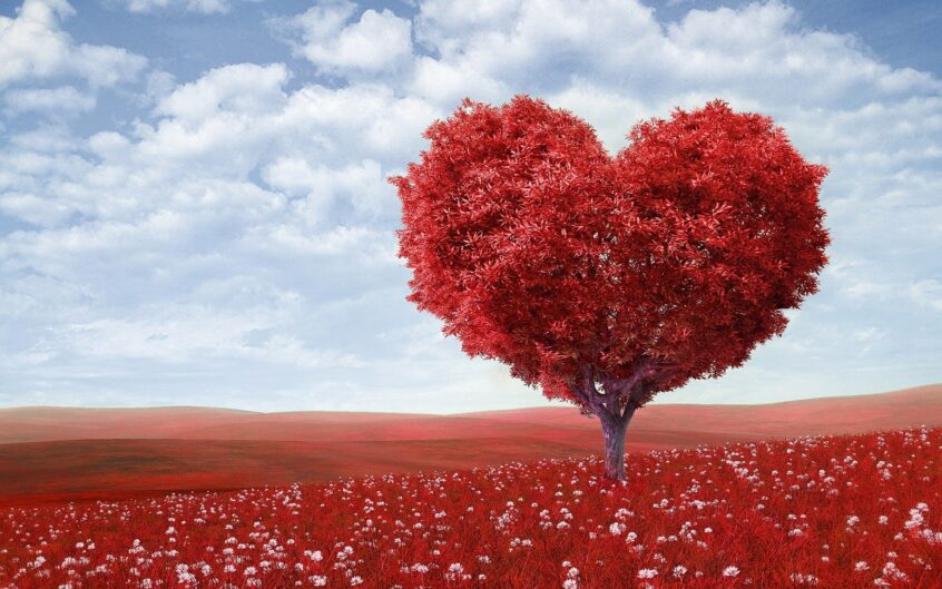Red heart tree - CARES Act - CARES Act Summary for Your 401(k) Plan Participants | Tamma Capital