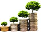 Portfolio management - Richard Thaler - You’re only human: An economist explains how it hurts your portfolio | Tamma Capital